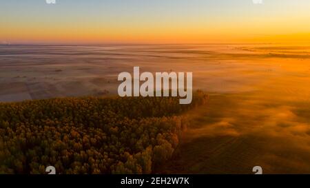 Oben zeigt die Aufnahme Sonnenschein über dem Wald, langsam schwimmenden Dampf, Dampf über dem Wald, in der frühen Morgendämmerung Sonnenaufgang über dem Horizont. Stockfoto