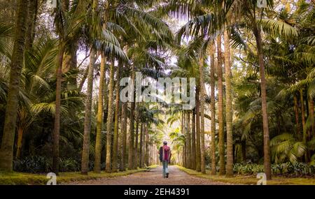 Frau zu Fuß in Terra Nostra Park, erstaunliche Vegetation, Reiseziel Azoren, wunderbaren botanischen Garten. Stockfoto