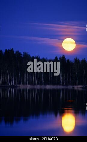 Vollmond, der über Wald aufsteigt und im Wasser reflektiert. Stockfoto