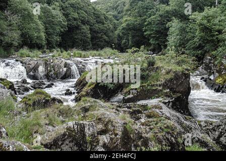 Cenath Fall Reihe von kleinen Wasserfällen und Pools auf der Fluss Teifi Stockfoto