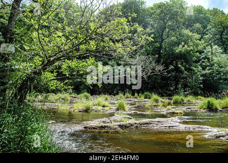 Cenath Fall Reihe von kleinen Wasserfällen und Pools auf der Fluss Teifi Stockfoto