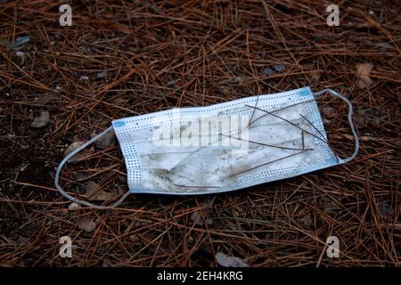 Eine gebrauchte blaue schmutzige Maske liegt auf dem Wald Stockfoto