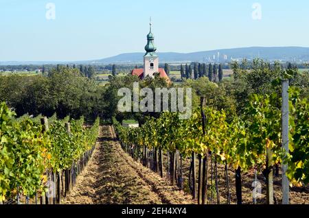 Österreich, Kirche und Weinberg im Dorf Reisenberg Stockfoto