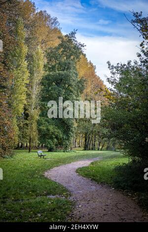 Kurvenreicher Weg durch den Herbstpark Stockfoto