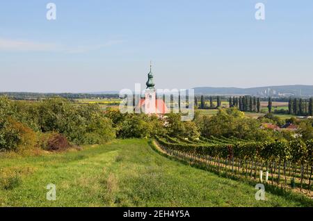 Österreich, ländliche Landschaft mit Weinberg und Feldern in Oberösterreich Stockfoto