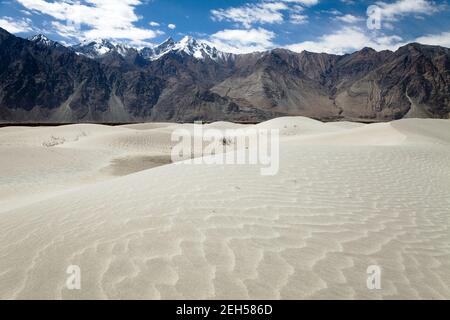 Dünen in Nubra Valley - Ladakh - Jammu und Kaschmir - Indischer Himalaya Stockfoto