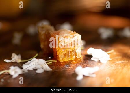 Honig Kamm golden süß natürliche Blume floral Bienen Wachs Beleuchtung Gesunde Sonne Licht Wabe Bio Stockfoto