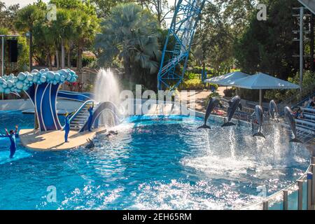 Orlando, Florida. 25. November 2020. Delfine springen in Dolphins Day Show in Seaworld (13) Stockfoto