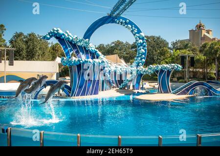 Orlando, Florida. 25. November 2020. Delfine springen in Dolphins Day Show in Seaworld (15) Stockfoto