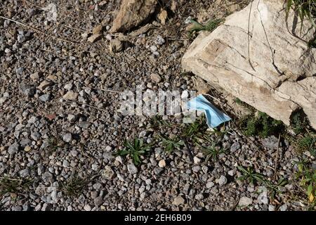 Gebrauchte blaue Schutzmaske in die Natur geworfen. Menschliche Abfälle, Coronavirus Auswirkungen auf die Natur und Recycling. Müll in der Natur, Wald und Naturpark Stockfoto