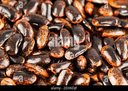 Scarlet Läufer Bohnen als Hintergrund, Nahaufnahme Bild. Stockfoto