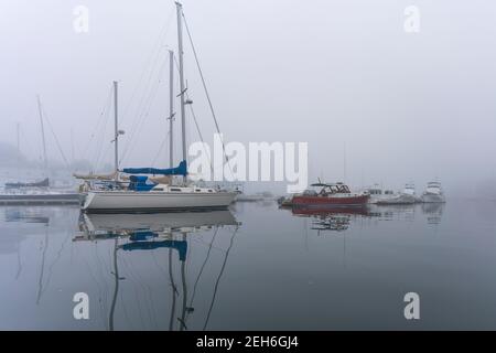 Boote in Camden Harbour an einem nebligen, nebligen frühen Sommermorgen. Stockfoto