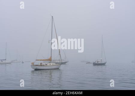 Boote in Camden Harbour an einem nebligen, nebligen frühen Sommermorgen. Stockfoto