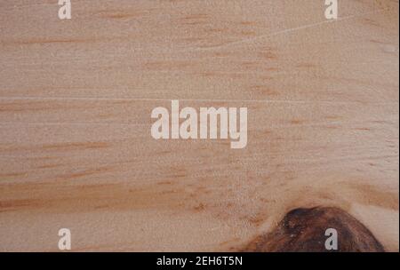 Holzstruktur Hintergrund mit Platz für Text oder Design. Hohe Qualität für Ihre Arbeit. Konzept der Tapete oder Website. Draufsicht natürliche Materialien Stockfoto