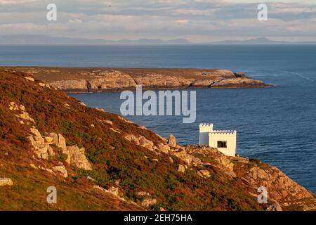 Ellins Turm auf den Klippen bei South Stack, Anglesey, Nordwales Stockfoto