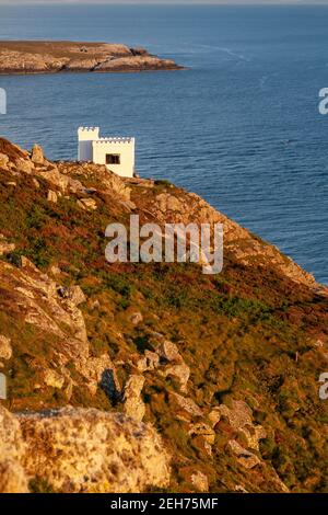 Ellins Turm auf den Klippen bei South Stack, Anglesey, Nordwales Stockfoto