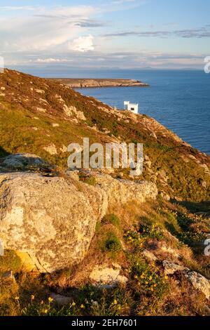 Ellins Turm auf den Klippen bei South Stack, Anglesey, Nordwales Stockfoto