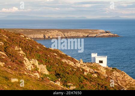 Ellins Turm auf den Klippen bei South Stack, Anglesey, Nordwales Stockfoto