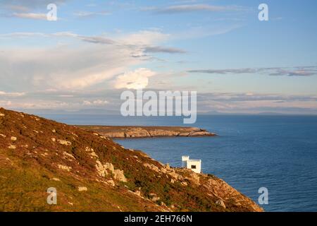 Ellins Turm auf den Klippen bei South Stack, Anglesey, Nordwales Stockfoto