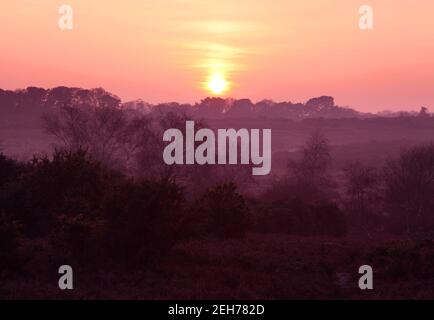 Unberührte Natur Landschaft und nebligen orange rot rosa Sonnenuntergang oder Sonnenuntergang über New Forest Heide und Wald, Hampshire Stockfoto