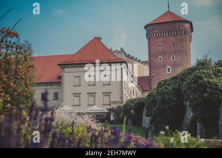 Wawel Senator Turm mit Schloss, Rasen, Efeu, Regenschirme, Blumen und Sträucher Stockfoto