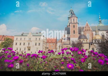 Königliche Erzkathedrale Basilika St. Stanislaus und Wenzel auf Wawel HIL Stockfoto