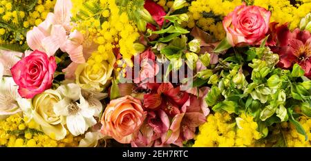 Blumen Rahmen Zusammensetzung in hellen gelb roten Farben. Alstroemeria, Rosen, Mimosenblüten. Flache Lay-Ansicht von oben, Kopierbereich Stockfoto