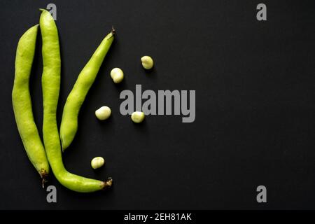 Frisch gepflückte Saubohnen, Vicia Faba auch als Feldbohnen, Fava und Tic Beans bekannt. Isoliert auf schwarzem Hintergrund. Platz für Text kopieren. Ansicht von ab Stockfoto