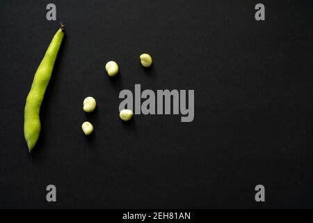 Frisch gepflückte Saubohnen, Vicia Faba auch als Feldbohnen, Fava und Tic Beans bekannt. Isoliert auf schwarzem Hintergrund. Platz für Text kopieren. Ansicht von ab Stockfoto