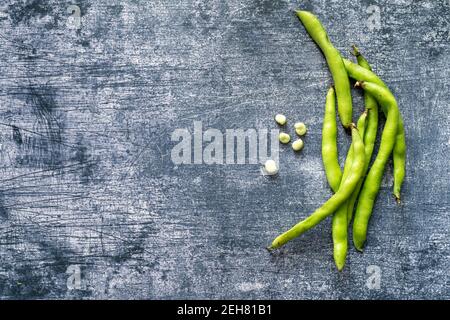 Frisch gepflückte Saubohnen, Vicia Faba auch als Feldbohnen, Fava und Tic Beans bekannt. Isoliert auf grunge Hintergrund. Kopieren Raum für Text. Ansicht von a Stockfoto