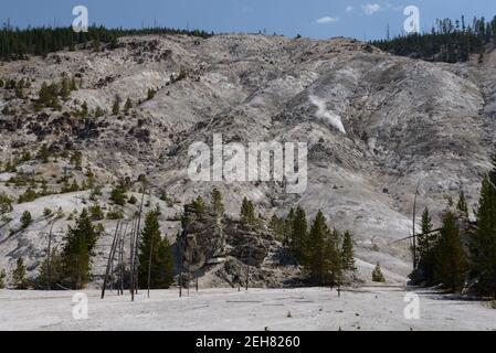 Roaring Mountain im Yellowstone National Park, Wyoming, USA Stockfoto