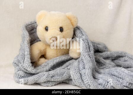 Ein Stofftier Teddybär sitzt gekleidet in einer Strickdecke.Kinder Spielzeug. Stockfoto