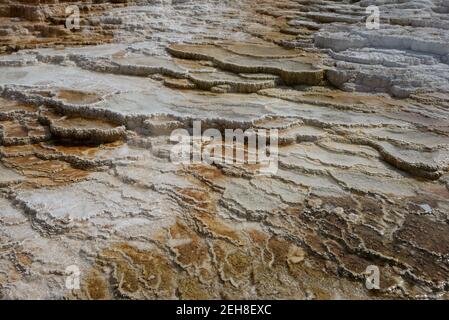 Mammoth Hot Springs, Yellowstone National Park, Wyoming, USA Stockfoto