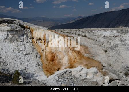 Mammoth Hot Springs, Yellowstone National Park, Wyoming, USA Stockfoto