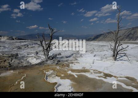 Mammoth Hot Springs, Yellowstone National Park, Wyoming, USA Stockfoto