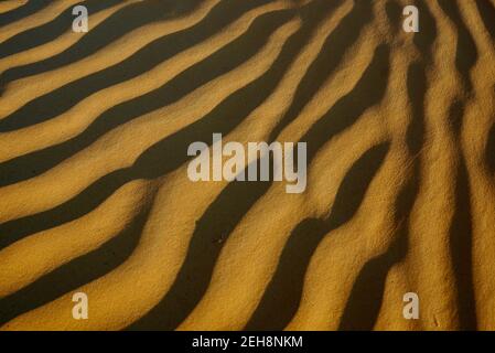 Wiederholte Wellen im Wüstensand Stockfoto