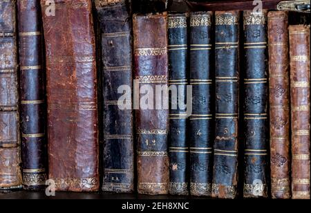 Alte Bücher auf Holzregal gelegt Stockfoto