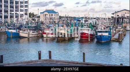 Kommerzielle Garnelenboote am Handelshafen in Biloxi, Mississippi Stockfoto