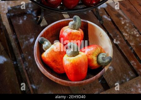 Cashew frisch aus para, Brasilien, caju Stockfoto