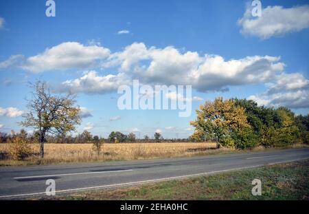 Wolken über dem Feld Stockfoto