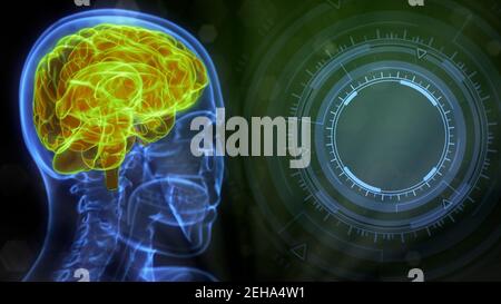 roentgen menschliches Kopfbild mit hervorgehobenes Gehirn und leerem Raum Rechts für Ihre Grafik - Modern Medical 3D Abbildung Stockfoto
