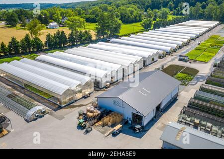 Luftaufnahme von kommerzieller Baumschule mit Gewächshäusern in einer Reihe, Glen Arm, MD Stockfoto