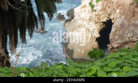 Aus der Meereshöhle in La Jolla Cove. Üppiges Laub und Sandsteingrotte. Felsen in der lagune des pazifischen Ozeans, Wellen in der Nähe einer steilen Klippe. Beliebtes touristisches landmar Stockfoto