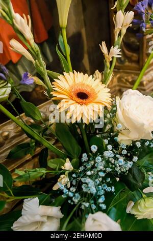Gelbe Gerbera Dekoration einer Kirche in einer Feier. Gerbera jamesonii, Asteraceae. Stockfoto