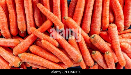 Alle natürlichen frischen Bio-Karotten auf dem Tisch. Konzept für ein gesundes Leben. Vegane Mahlzeiten und vegetarisches Lebensmittelkonzept. Eine Gruppe von Karotten auf dem Tisch hoch an Stockfoto