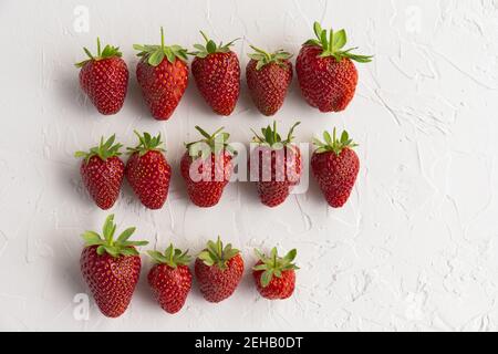 Reihen von roten, reifen Erdbeeren frisch aus dem Garten auf weißem Strukturhintergrund Stockfoto