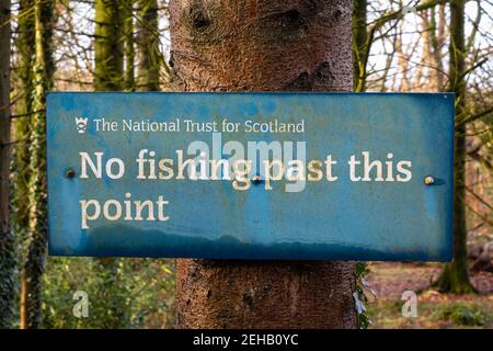 Castle Douglas, Schottland - 27th. Dezember 2020: Blau kein Angeln an diesem Punkt vorbei Zeichen auf einem Baum in einem National Trust for Scotland Wald neben dem Wat Stockfoto