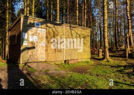 Kirkcudbright, Schottland - 28th. Dezember 2020: Red Squirrel hide at the Barhill Wood, Kirkcudbright, Schottland Stockfoto