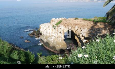 Aus der Meereshöhle in La Jolla Cove. Üppiges Laub und Sandsteingrotte. Felsen in der lagune des pazifischen Ozeans, Wellen in der Nähe einer steilen Klippe. Beliebtes touristisches landmar Stockfoto