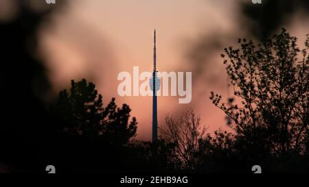 Stuttgart, Deutschland. Morgenstimmung mit glattem orangefarbenem Himmel. Blick auf den Fernsehturm durch einige Bäume und Äste. Stockfoto